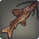 ffxiv longhair catfish